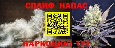 стафф Заволжье