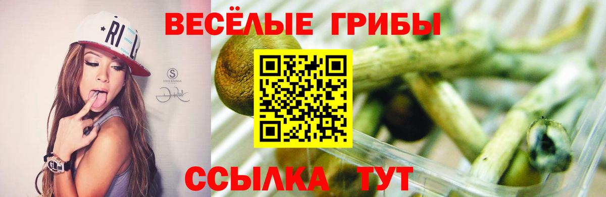 Галлюциногенные грибы Cubensis Мыски